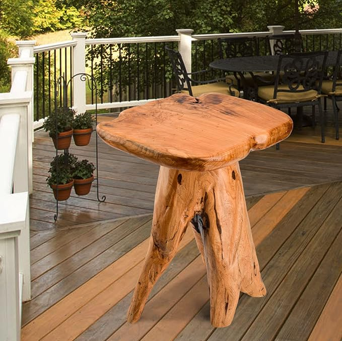 Mushroom Side Table 18.9 inch Tall Live Edge Wood Stool